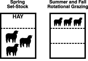 sites and promotes a greater incidence of coccidiosis in young, growing lambs.