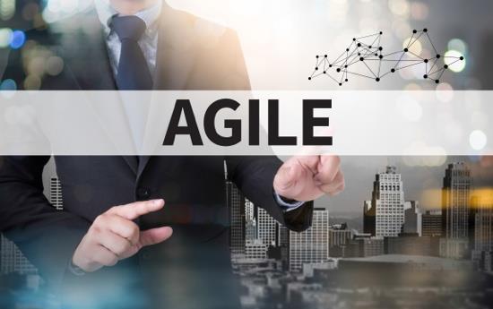 Architecting the Agile Enterprise A new course from Metaplexity Associates The course provides the following learning outcomes: apply concepts from Enterprise Architecture, Agile Development, Lean