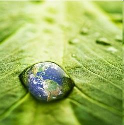 Planet: soil, water, air, GHG, biodiversity Profit: