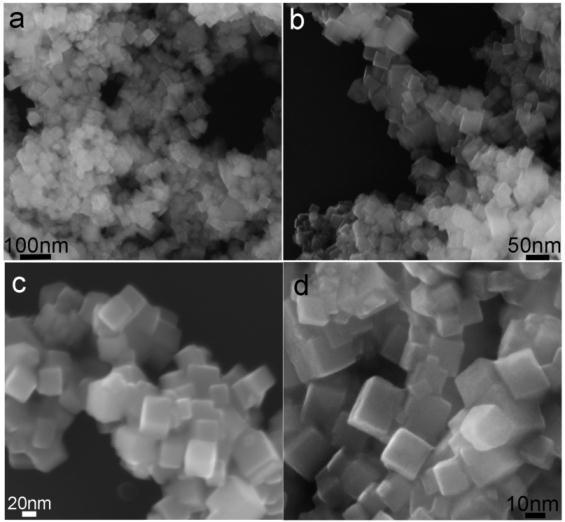 Figure S1. FESEM images of Co 3 O 4 nanocubes with different magnifications.