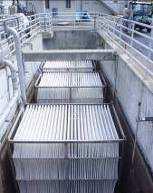 Ammonia Capacity ~130 lbs/day Entex