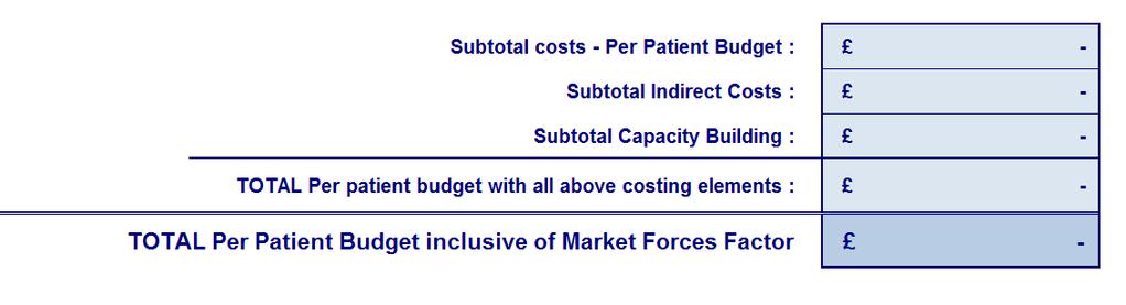 The final section in the bottom right shows a summary of the per patient budget, including indirect costs, capacity building and the MFF.