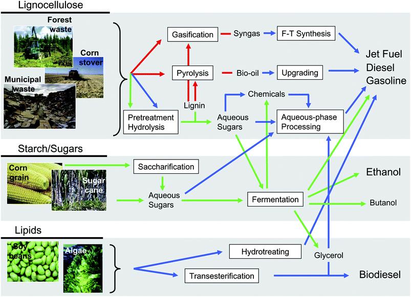 Routes for the conversion of biomass into liquid