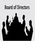 or Internal / Statutory Auditors BOD Independent directors to satisfy themselves on the strength of financial