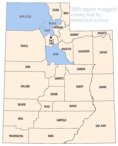 Detection surveys in 4 counties (600 traps) Most catches are