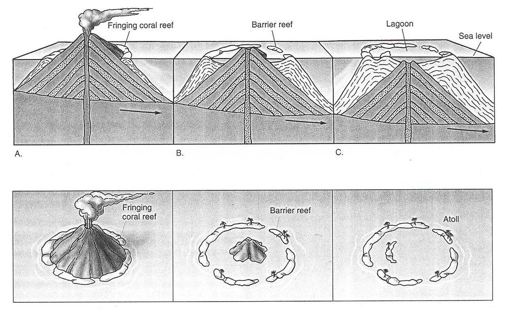 Types of Coral Reef-continued This figure shows the formation of the previous three reefs.