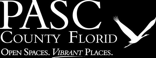 A VENDOR S GUIDE TO DOING BUSINESS WITH PASCO COUNTY INTRODUCTION: The Purchasing Department is responsible for procuring all goods and services necessary for the operating departments under the