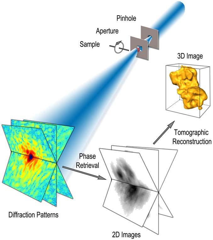 Coherent X-ray Diffraction Imaging (CDI) Coherent