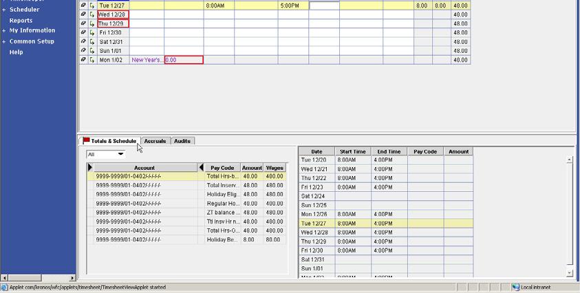 Timesheet Tabs Hourly View An employee s timesheet contains informational tabs at the bottom of the workspace.