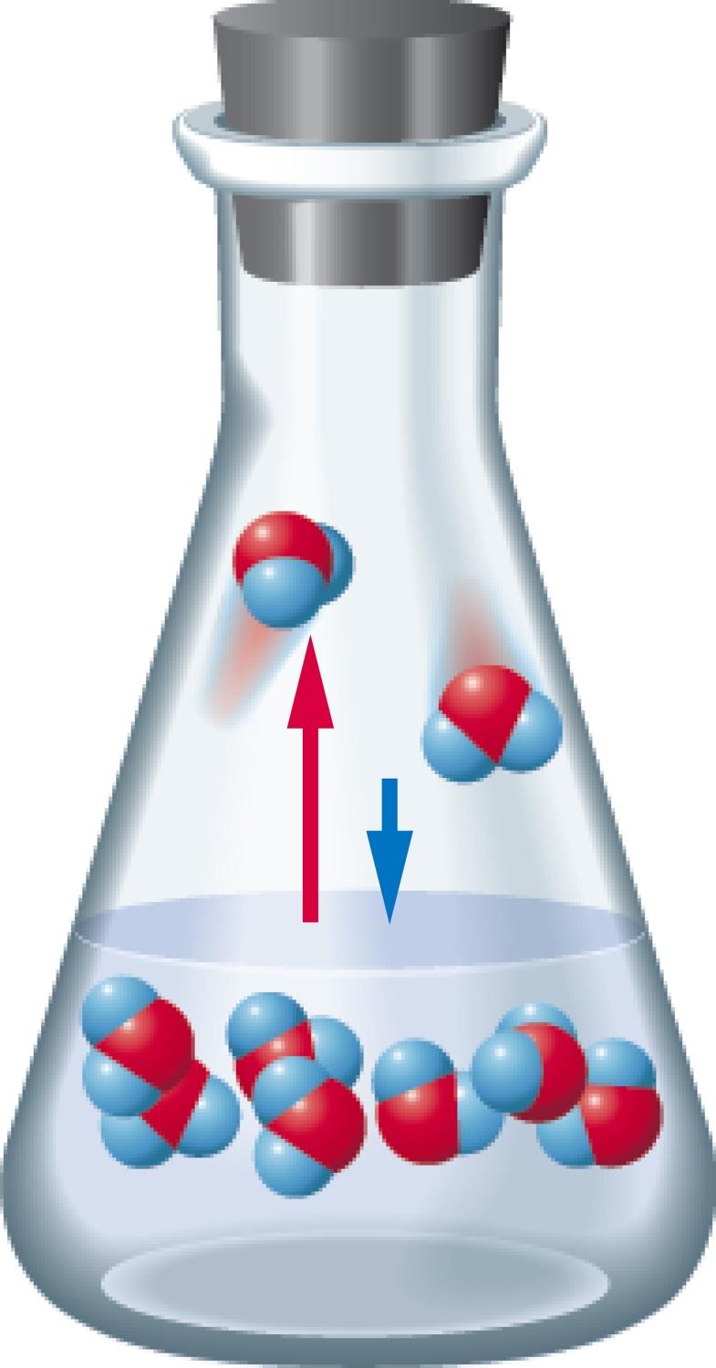liquid exists at conditions consistent with vapor phase critical temperature (Tc) - T above which a gas cannot be liquefied - no matter what Pext is