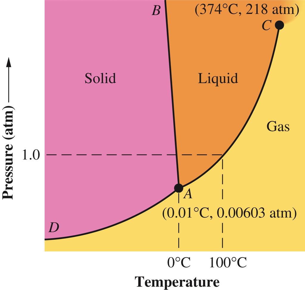 Phase Diagram of Water Phase Diagram of CO2