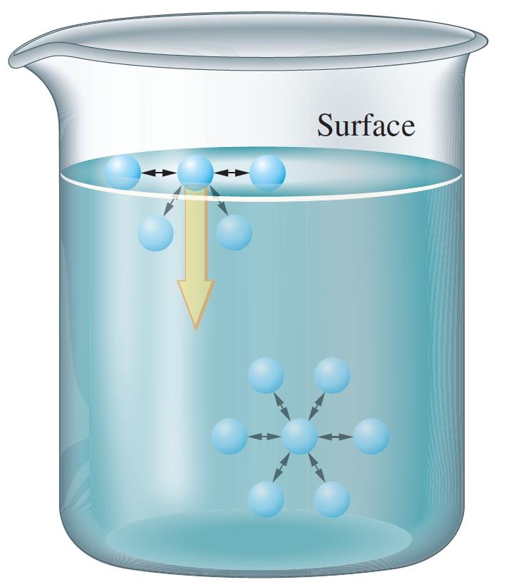 Surface Tension: Meniscus Formation & Capillary Action Properties of Liquids: Surface Tension Particles in the interior of the liquid feel