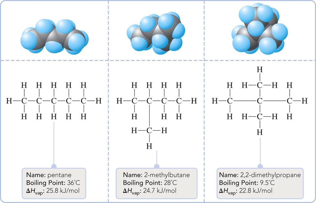 Consider the Noble Gases: Influence of Molecular Structure/Shape on LDF s Consider 5 alkanes, all with the chemical formula C5H12: substance molar mass bp He 4.0 g/mol 4.6 K Ne 20.2 g/mol 27.