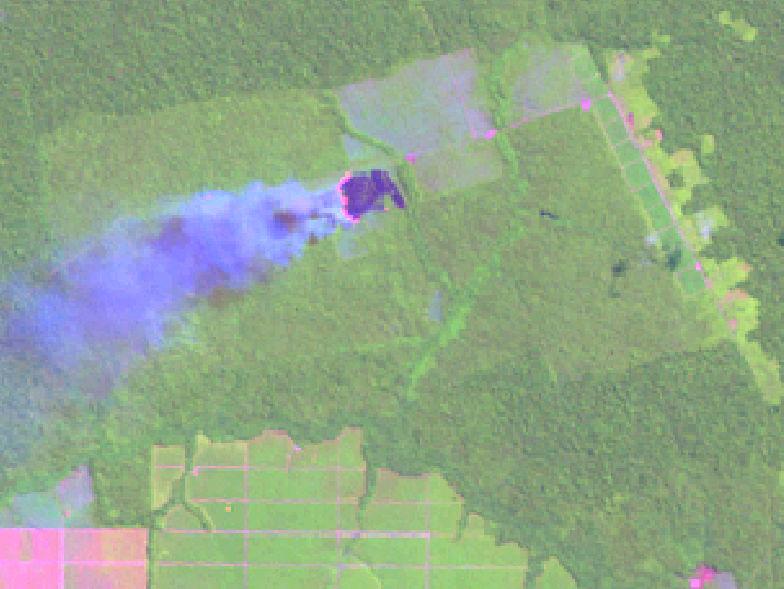 Applying Remote Sensing to Land Use Change Forest