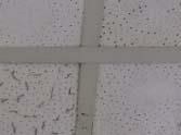 Ceiling Tile (CT) 1.