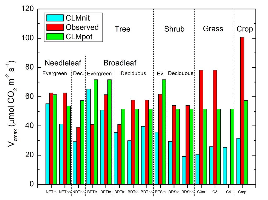 CLM4 photosynthetic capacity 26 Observed and model V cmax (25 C) for CLM plant functional types CLM4 reduces a potential GPP for simulated N availability (Thornton & Zimmermann, 2007, J Climate