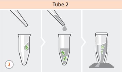 Complexation: Pipette 135 μl of the Viromer GREEN solution from Tube 2 onto the 15 μl of sirna/microrna solution in Tube 1.