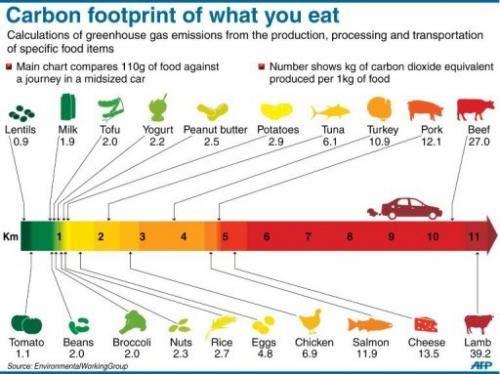 Which foods? - comparing food groups Source: Climate CoLab http://climatecolab.