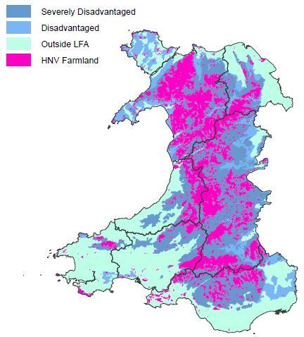 In areas with relatively large areas of lowland grazing (Carmarthenshire, Pembrokeshire and South Wales), an increased focus on productivity associated with higher stocking rates and more intensive