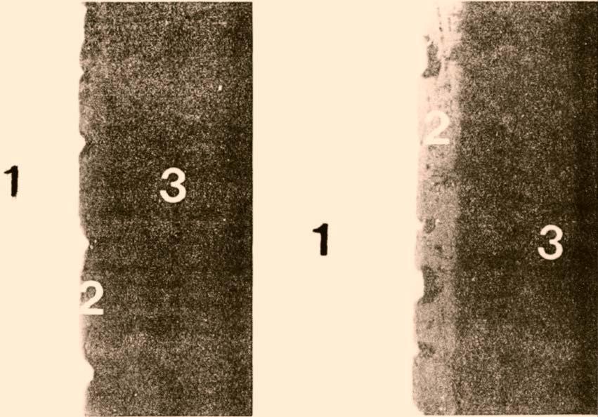 a) b) Fig.5 Cross section of oxide film formed by the High Voltage Process at 29ºF (Sanford Classic Process TM ) a) 2024 alloy, 2.7 mil; b) 7075 alloy, 3.5 mil.