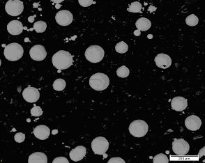 The lighter part in the microstructure represents the alpha grains while the darker parts are the beta grains. The morphology of the powder is characterized by spherical shaped gas atomized powder.