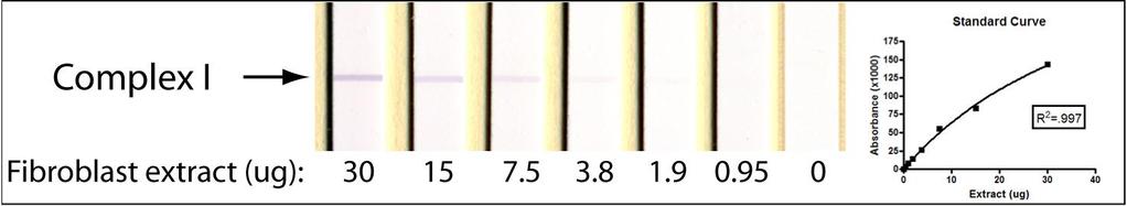 EXAMPLE EXPERIMENT Below is an example using the MS130 kit to measure Complex I activity in human fibroblast samples.