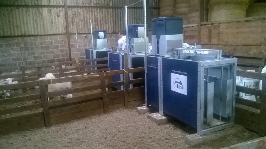 Review of sheep feed efficiency recording Some recommendations for the use of automated feeders for lamb feed intake recording in literature: Measure feed intake post-weaning 9-11 lambs per feeder