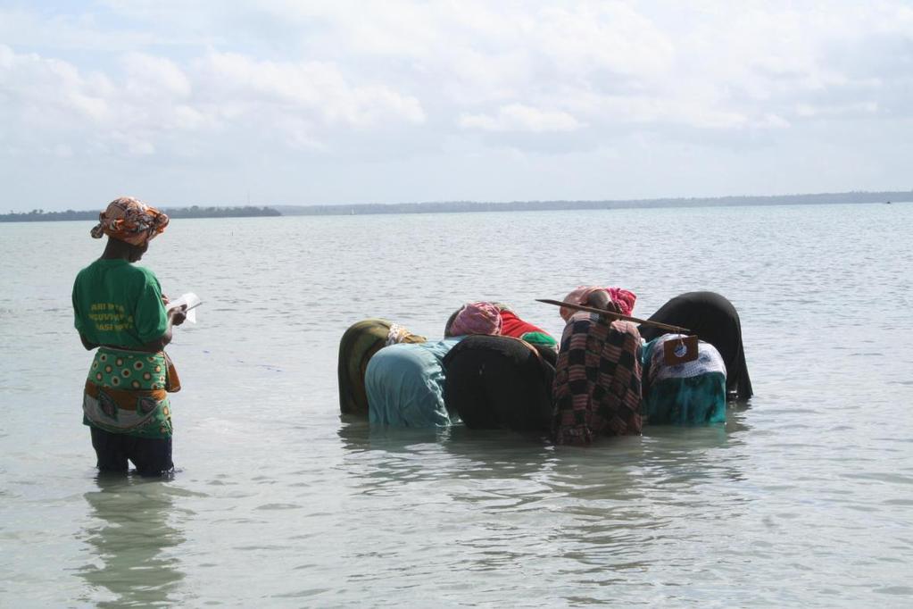 Project2: Conservation of coastal ecosystems in Tanzania Pwani project works to reverse the trend of environmental destruction of critical coastal habitats OUTCOMES: Coastal ecosystems provide