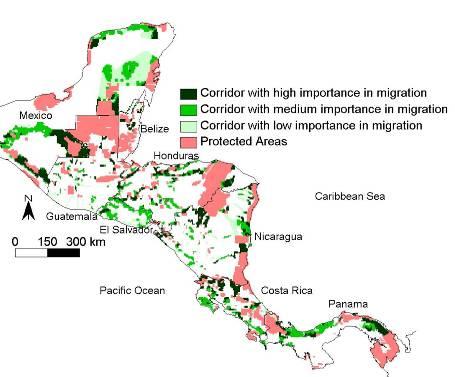 species migration in