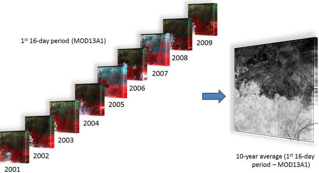 Figure S2: example of the average calculation of the 10 satellite images available for the first 16-day period of MODIS-EVI data. However, this process was not sufficient for the 8-day SIWSI data set.