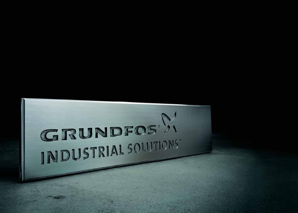 A broader approach to pump solutions Grundfos is a leading international producer of pumps and pump systems.
