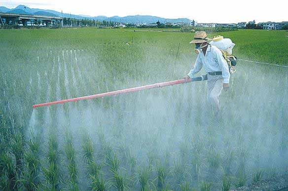 Pesticides Over 1 billion lbs. applied to crops in the U.