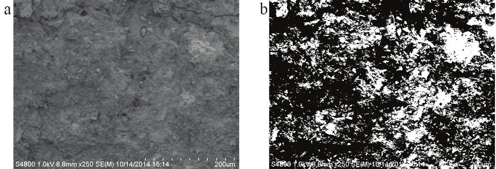 Shui Yu et al. / Procedia Engineering 121 ( 2015 ) 1443 1448 1445 Fig. 2. (a) Image of concrete C30 before converting; (b) Image of concrete C30 after converting. Fig. 3.