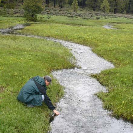 Is public lands cattle grazing degrading water quality and