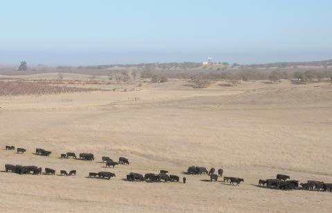 ranchers are actively involved or have plans to enroll in NRCS