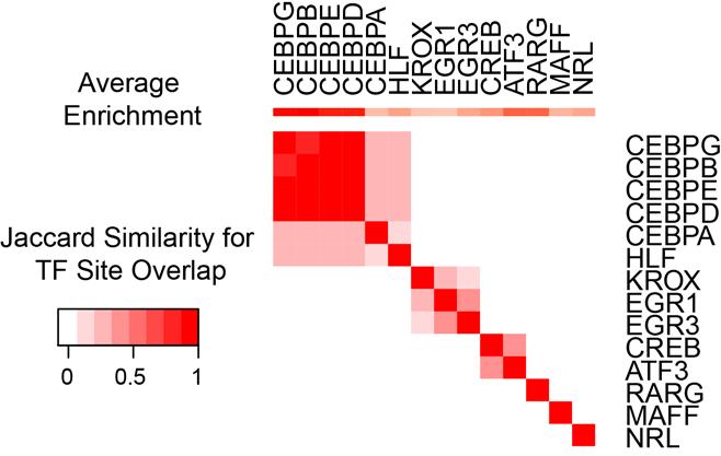 Supplementary Figure 3 Similarity of sets of transcription factor bound mutations.