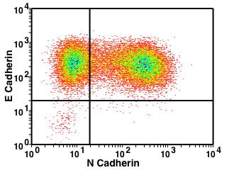 (a) (b) (c) (d) Figure S2: Flow cytometry measurement of E-cadherin and N cadherin expressions in A549 cells.