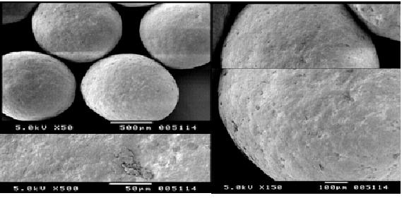 Fig No 2 Scanning Electron Microscopy figures of optimized formulation FTIR The FT-IR spectrum of the formulation showed the presence of the drug in its active form without alteration of its chemical