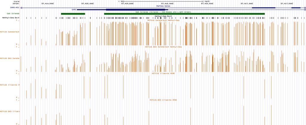 Methylation at single base-pair resolution (GNAS: G-protein alpha subunit ) HCT116 SureSelect HCT116DKO SureSelect DMR?