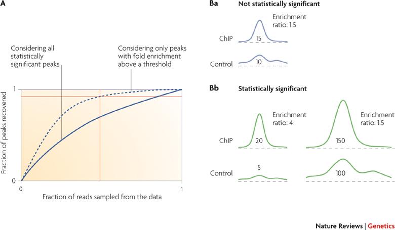 Assessing saturation and significance Saturation is dependent on both ChIP efficiency (globally) and factor:dna