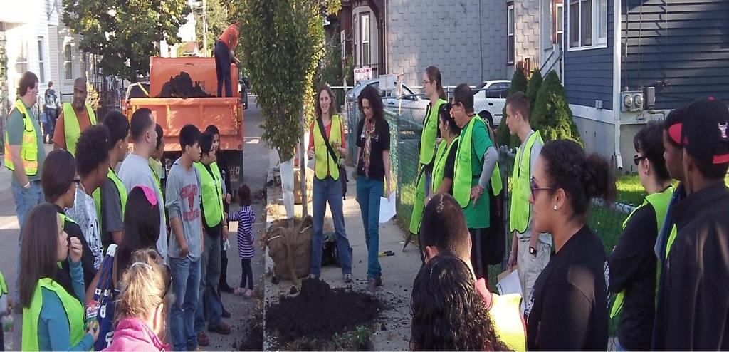 Street Tree Planting Project Chelsea, MA MA Department of Conservation and