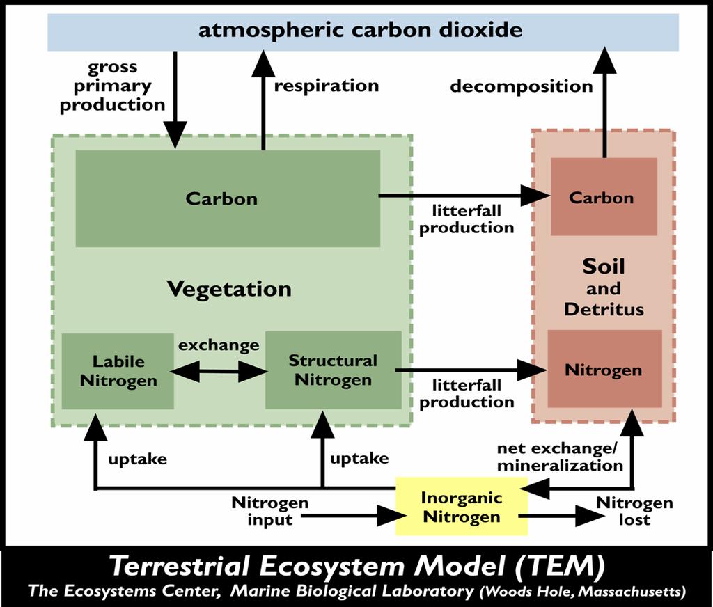 VII. Improvements to TEM B Figure 9: An overview of the Terrestrial Ecosystems Model (TEM).
