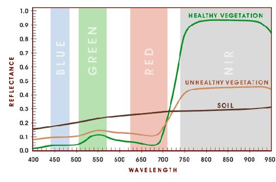 Figure 4, Reflectance of vegetation and soil. Another type of vegetation index which can be used is the Enhanced Vegetation Index (EVI).