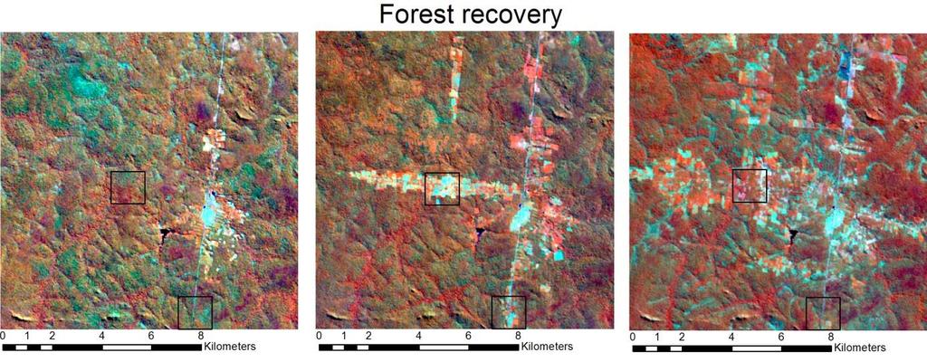 6.4 FOREST RECOVERY This study indicates that forest can return within five years after it has been converted it to another land cover, with the exception of urban area.
