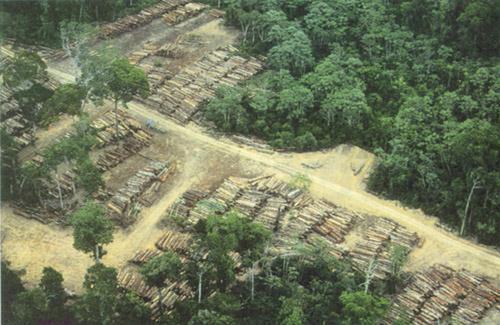 degradation in the Brazilian Amazon is mainly