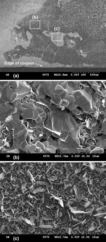 78 Oxid Met (2009) 72:67 86 Fig. 8 Corrosion products observed at the coupon edge of Fe 10Al 5Cr alloy after 5000 h exposure to the mixed oxidizing/ sulfidizing environment at 500 C.