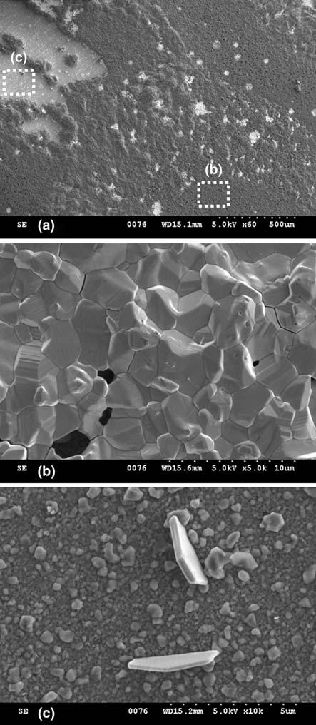 Oxid Met (2009) 72:67 86 81 Fig. 11 Corrosion products observed on Fe 12.5Al alloy after 5000 h of exposure.