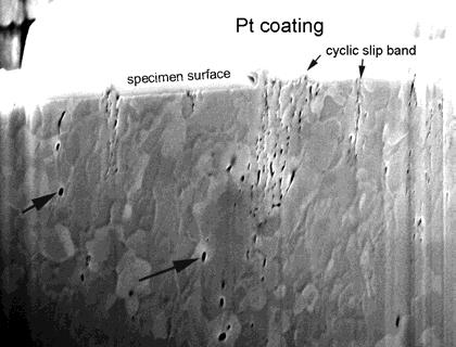 Mechanical Properties of Copper Processed by Severe Plastic Deformation 121 Fig. 32. FIB micrograph showing cut through a cyclic slip bands and grain structure Fig. 33.