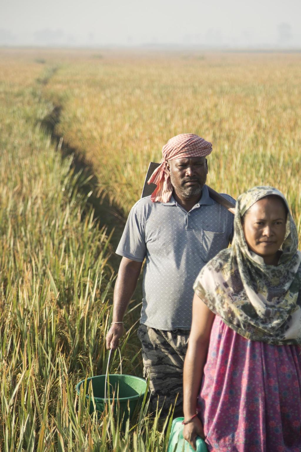 Fighting Hunger Worldwide Pro-Smallholder Food Assistance A Strategy for