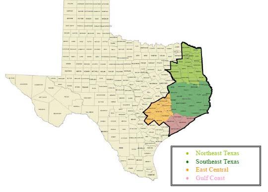 In addition, forests in Texas provide nontimber benefits such as clean water, habitats for diverse wildlife, eco-tourism, historical preservation, and carbon sequestration abilities.
